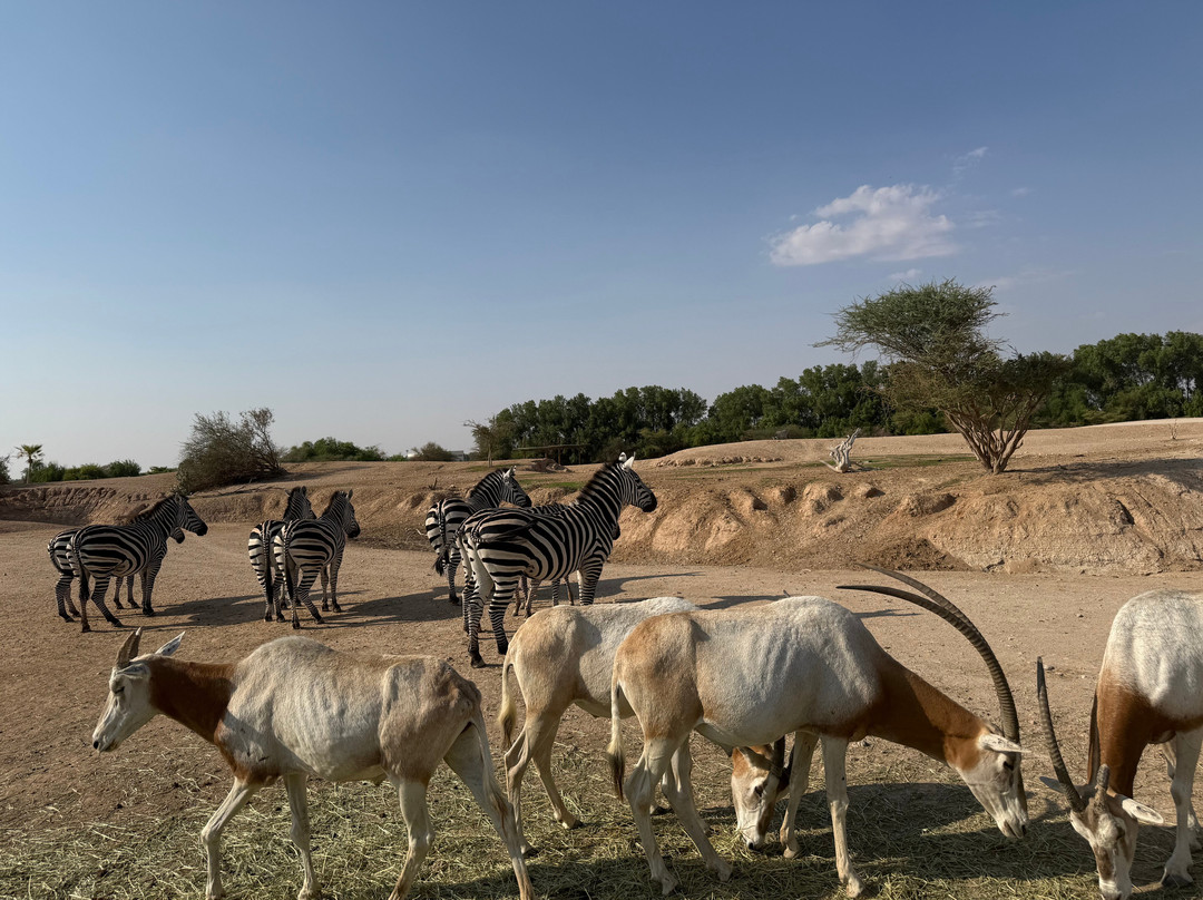 Al Ain Zoo 2017 2018 2019-艾因市必去景点