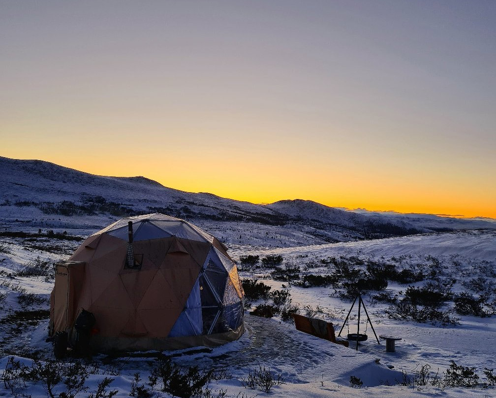 Arctic Dome