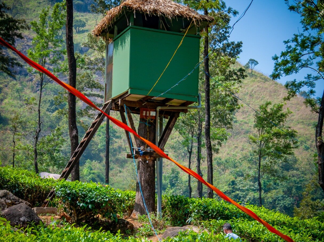 Stingray Tribe Chembra Peak