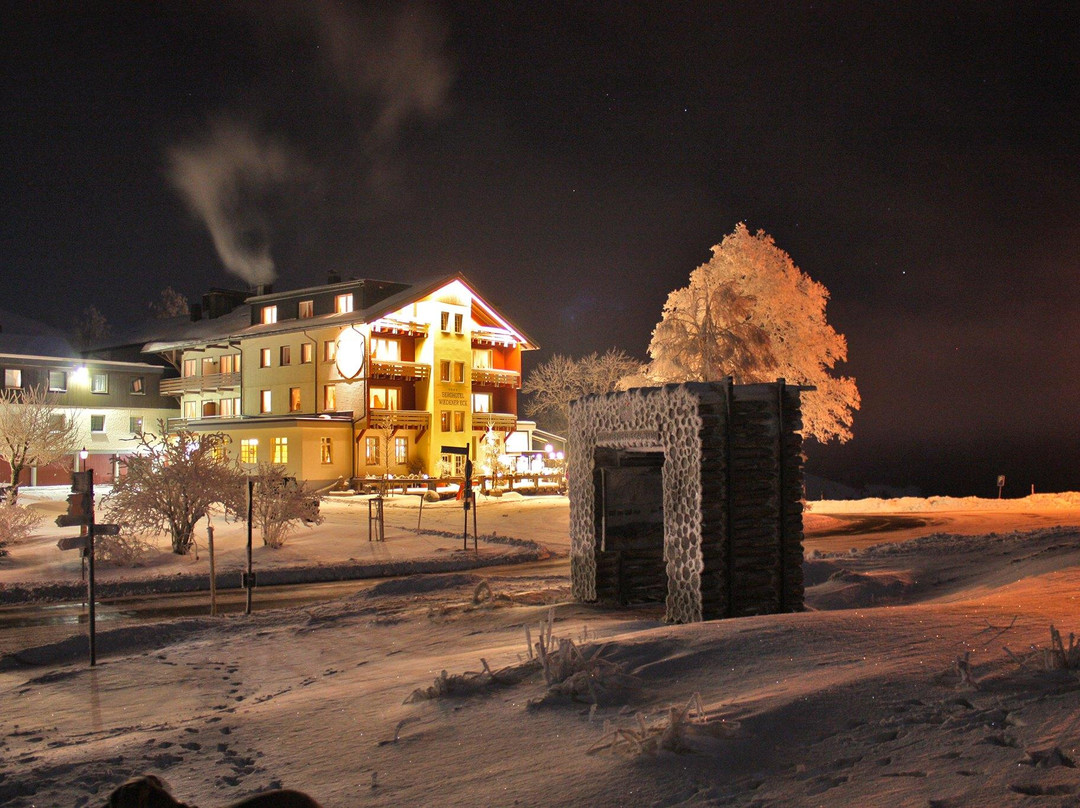 Neuenweg酒店住宿-Wiedener Eck