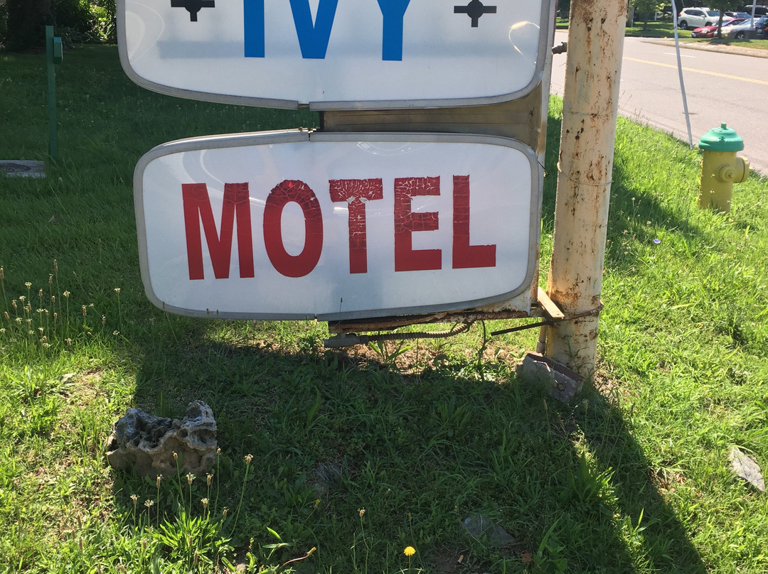Ivy Motel