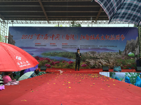 丫山花海石林-南陵县必去景点