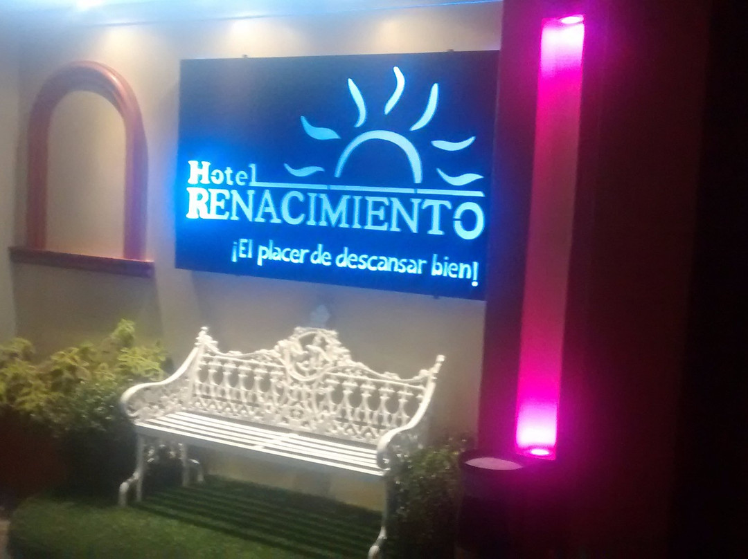 Hotel Renacimiento主图