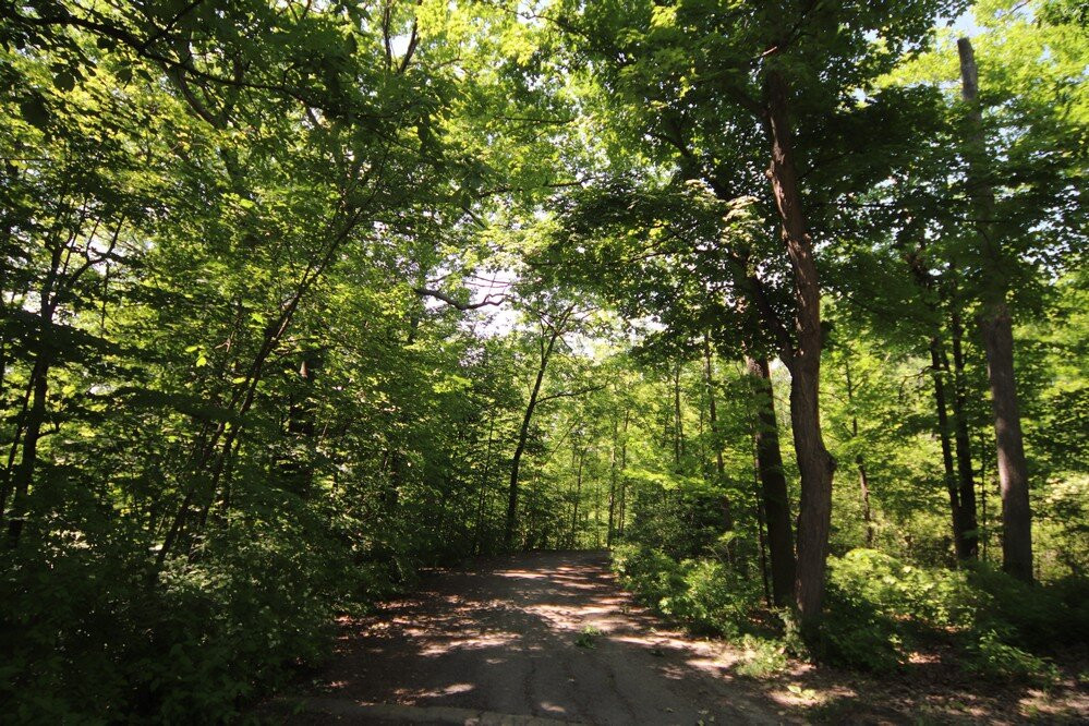 Burgoyne Woods Park-圣凯瑟琳斯必去景点