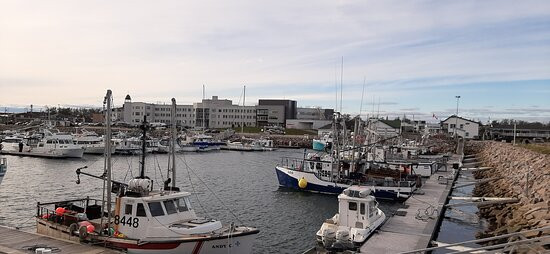 Le Port De Havre-saint-pierre-Havre St. Pierre必去景点
