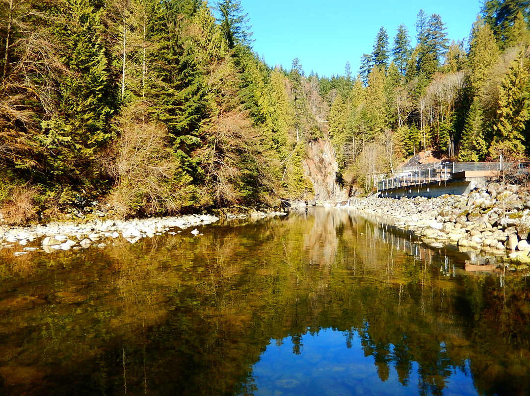 Capilano Salmon Hatchery景点图片