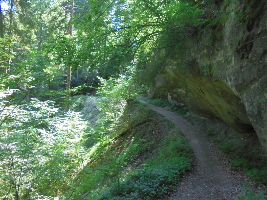 Vallee du Gotteron