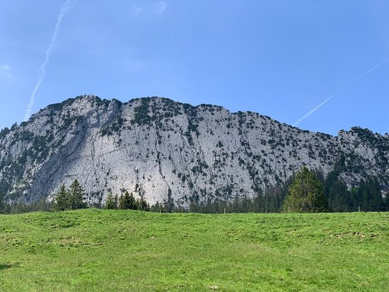 Obersee景点图片