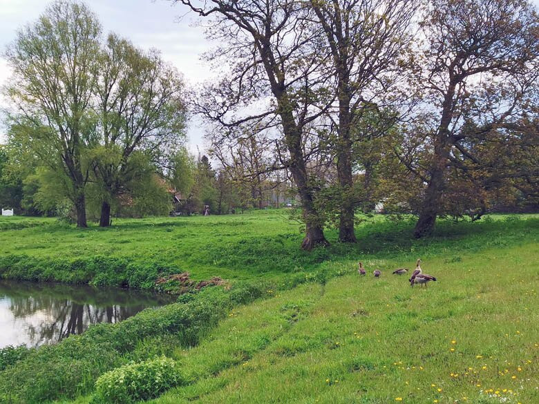 Buitenplaats&Tuinpaviljoen Wildhoef景点图片