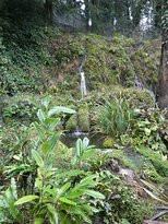 Derwent Gardens-Matlock Bath必去景点
