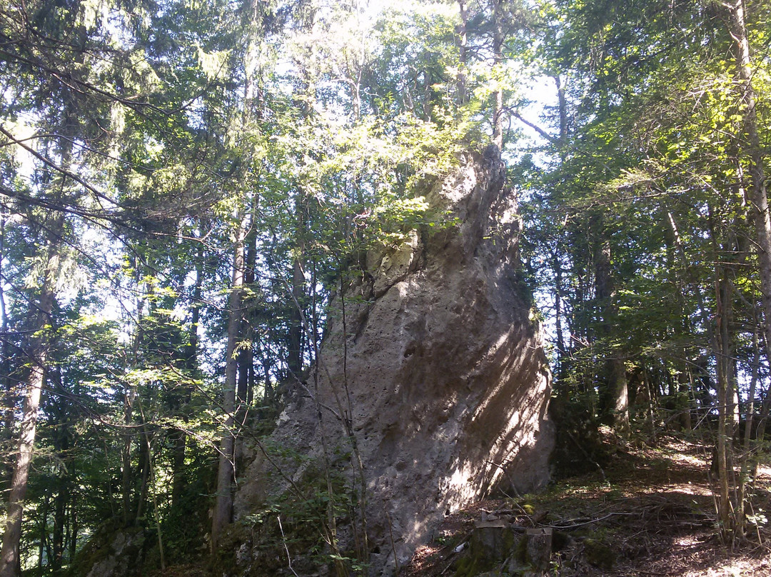 Molln酒店住宿-Kleinschönleiten