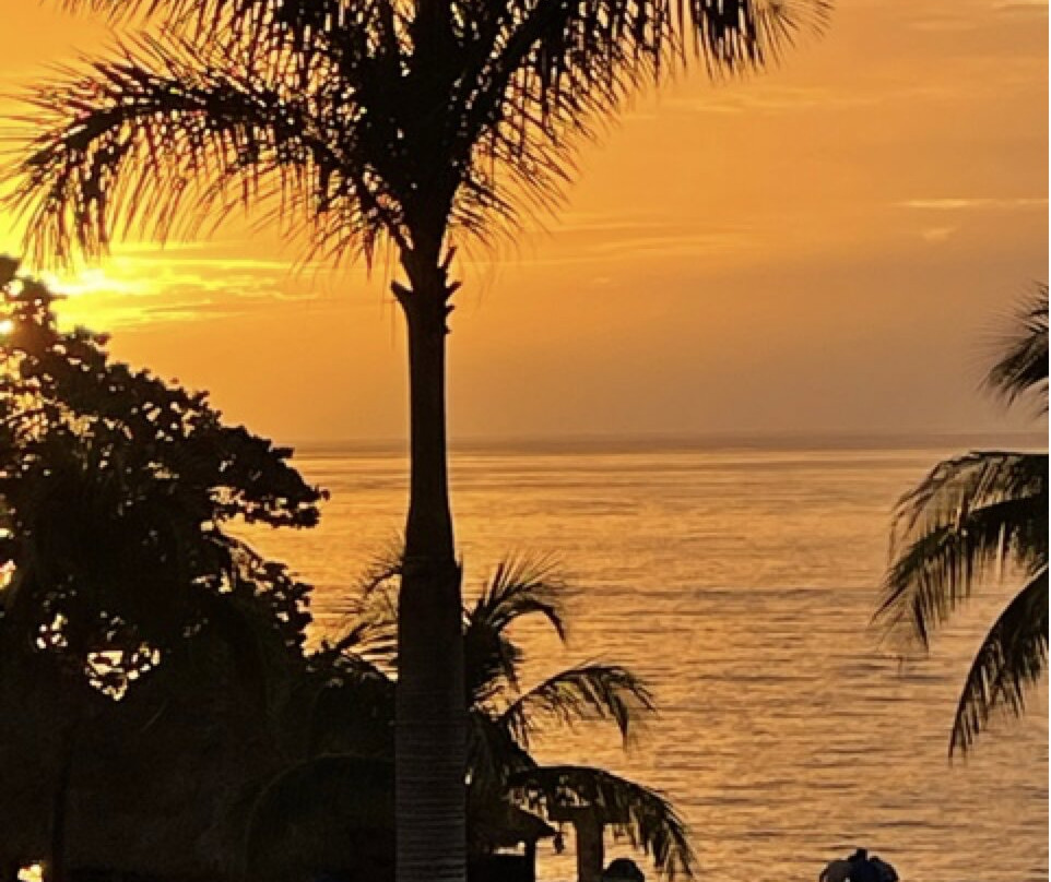 The Landmark of Cozumel主图