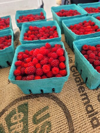 La Plata Farmers Market-La Plata必去景点