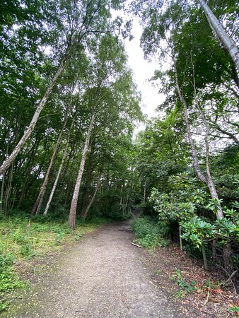 Shorne Woods Country Park景点图片