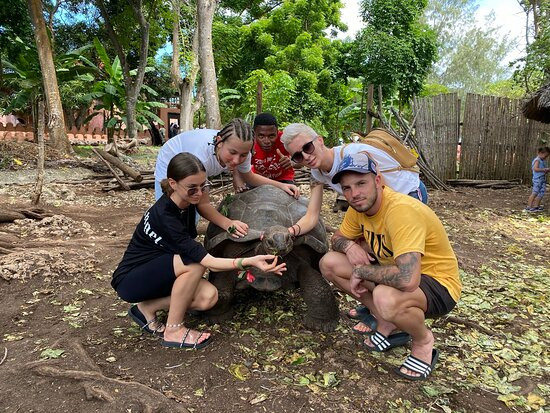 BAHARI UROA TOURS-乌罗阿必去景点