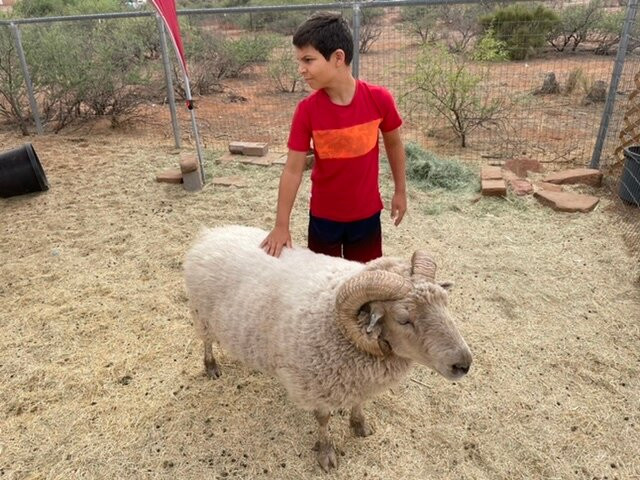 Harmony Acres Ranch & Petting Farm-Cornville必去景点