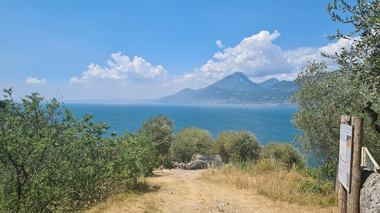 Contrada Campo di Brenzone景点图片