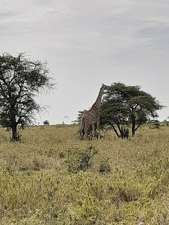 Ngurdoto Crater-阿鲁沙必去景点