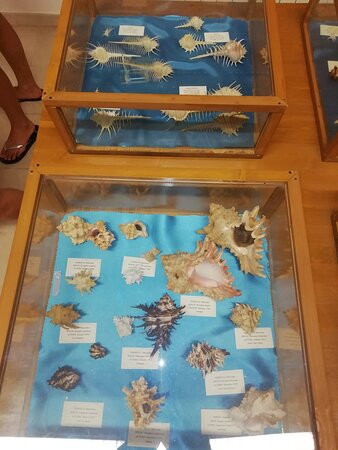 Museo delle Conchiglie-Roseto Capo Spulico必去景点