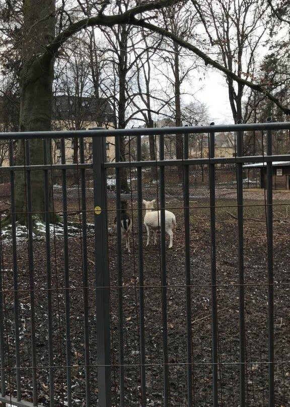 Animal enclosure at the Schwanenteich景点图片