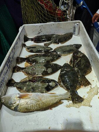 Bill Buster Charters-Saint Helena Island必去景点