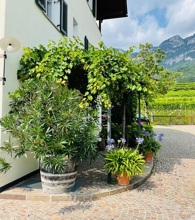 Weingut Klosterhof主图