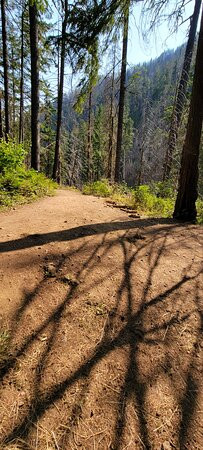 Eagle Creek Trail-Cascade Locks必去景点
