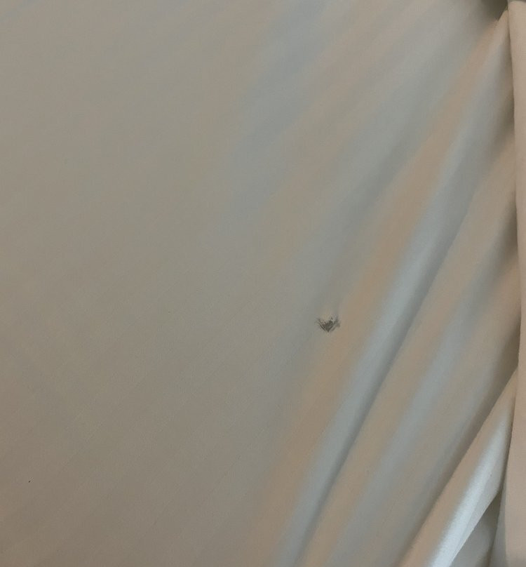 Geyserville Inn主图