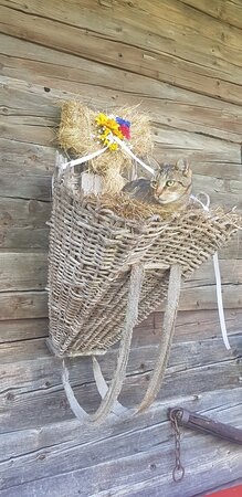 Agriturismo Voltan Haus主图