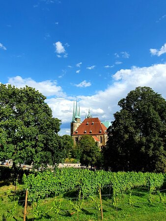 St. Severi Kirche景点图片