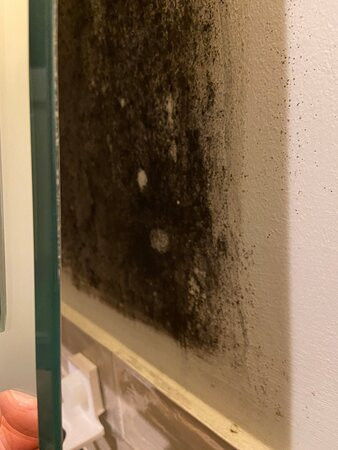 Saracens Head Hotel主图