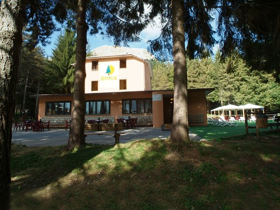 La Pinetina-官方