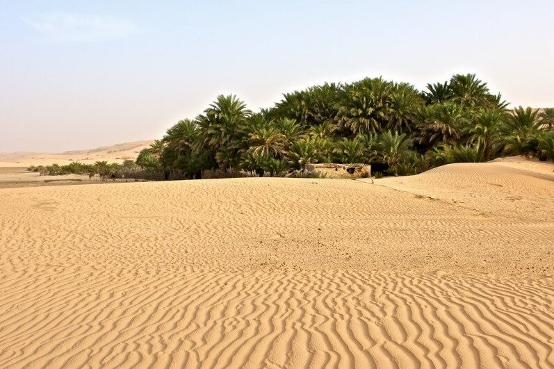 Chinguitty Voyages Mauritania Tours