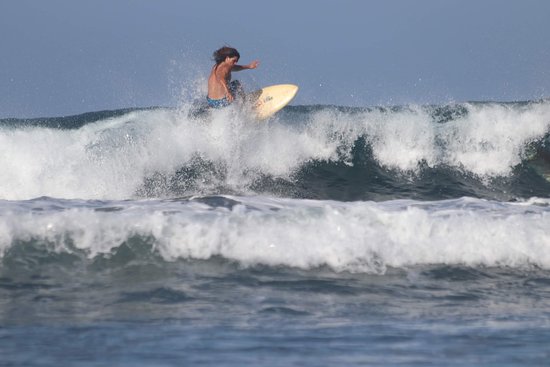 Surf Synergy-官方