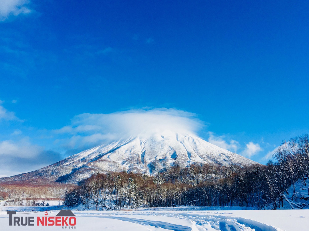 True Niseko-俱知安町必去景点