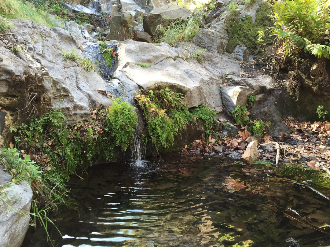 Sycamore Canyon Falls