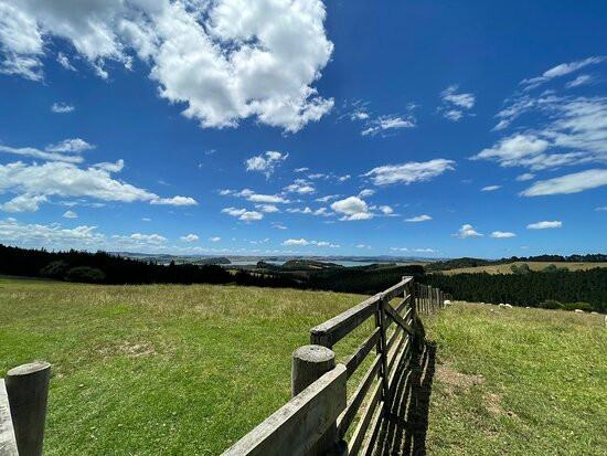 Atiu Creek Regional Park景点图片