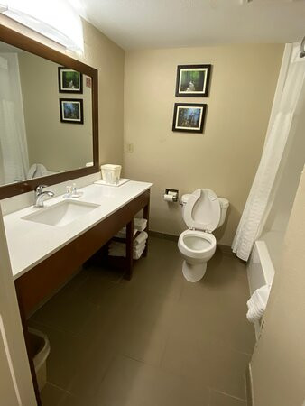 Comfort Inn & Suites Santee I-95主图