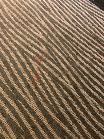 Ramada by Wyndham Hendersonville主图