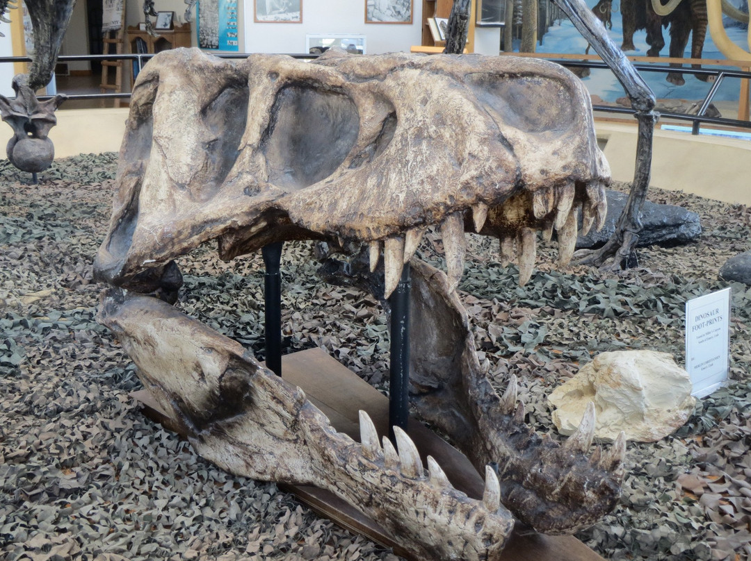 Cleveland旅游景点-Museum of the San Rafael Swell