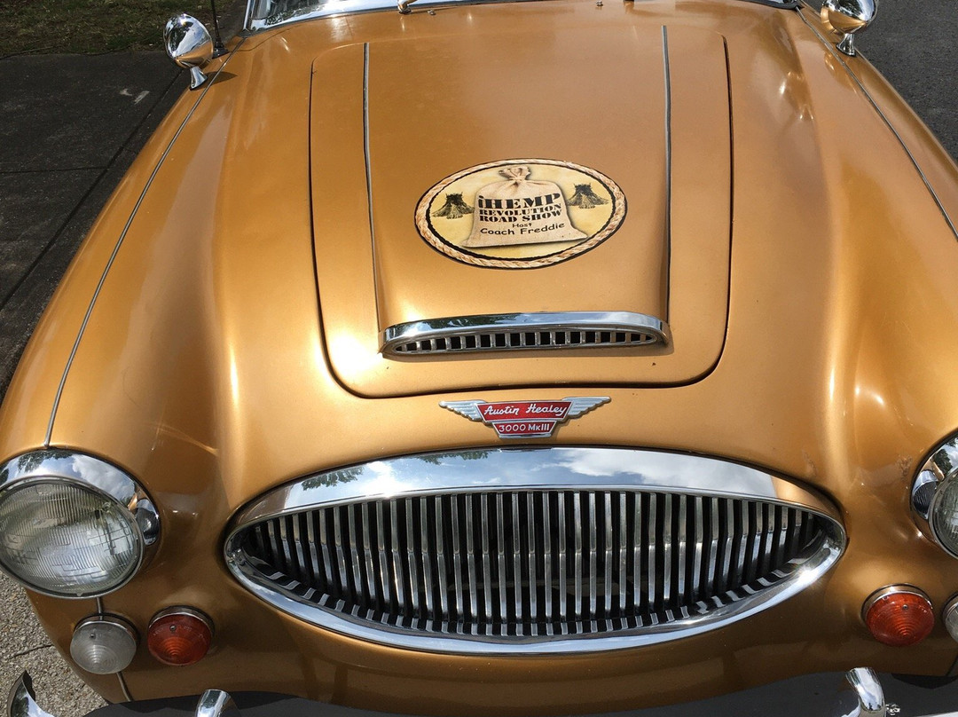 The Chattanooga Market-查塔努加必去景点