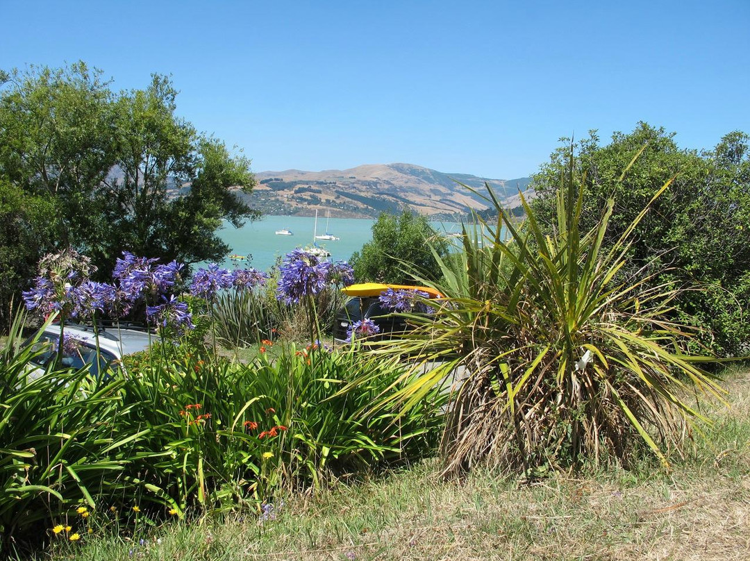 Lyttelton Kayaks-基督城必去景点
