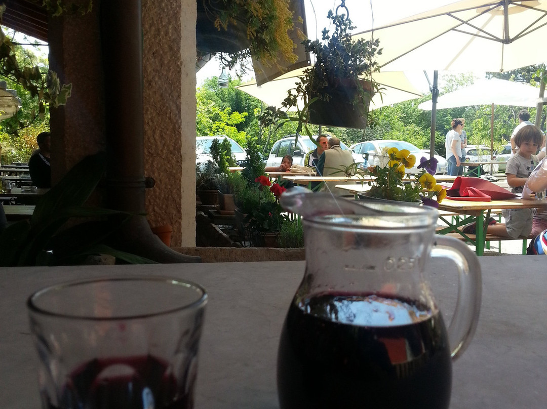 Pliskovica餐馆和美食-Le Torri Di Slivia