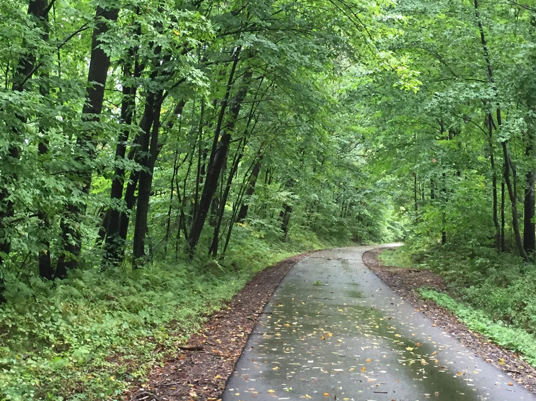 奇珀瓦福尔斯旅游攻略图片