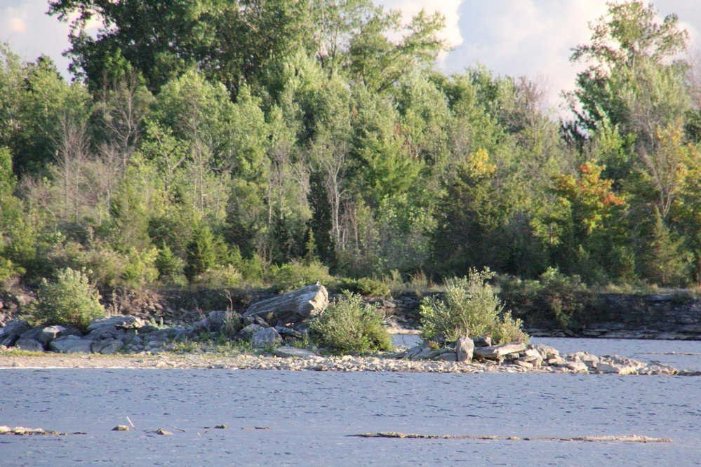 Wainfleet旅游攻略图片