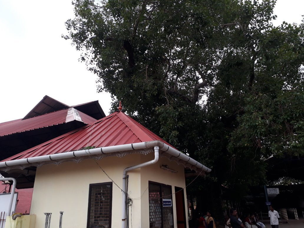 Kottarakkara旅游攻略图片