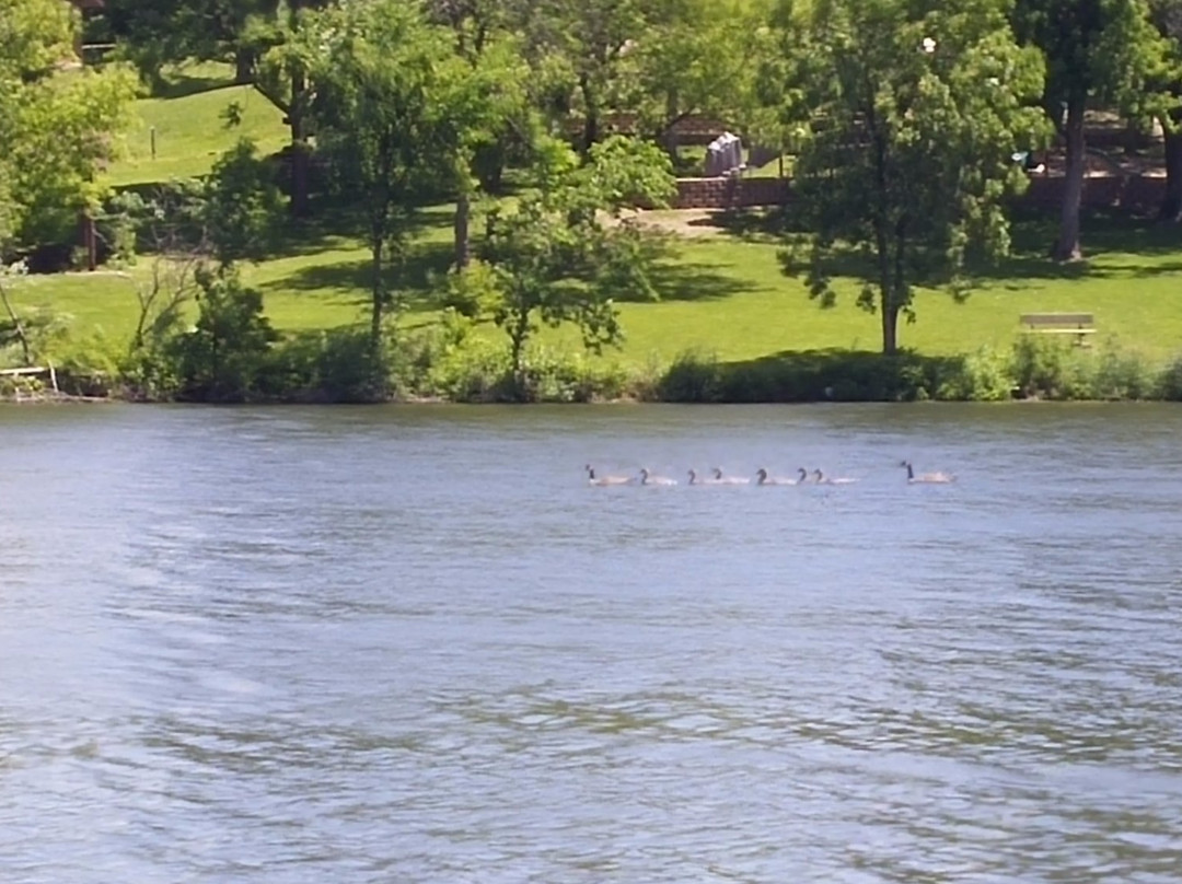 Osceola旅游攻略图片