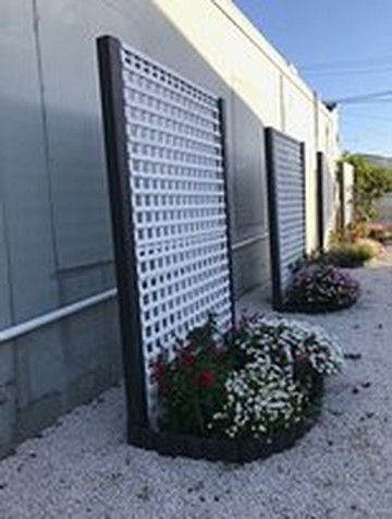 The Postmaster Inn主图