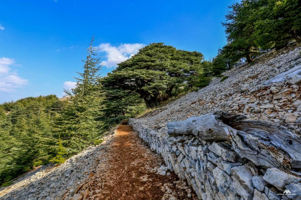 Barouk旅游攻略图片