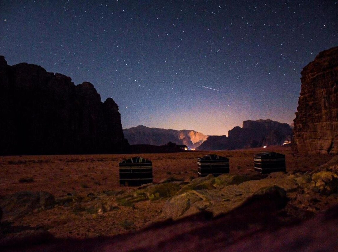 Bedouin host camp& with tour